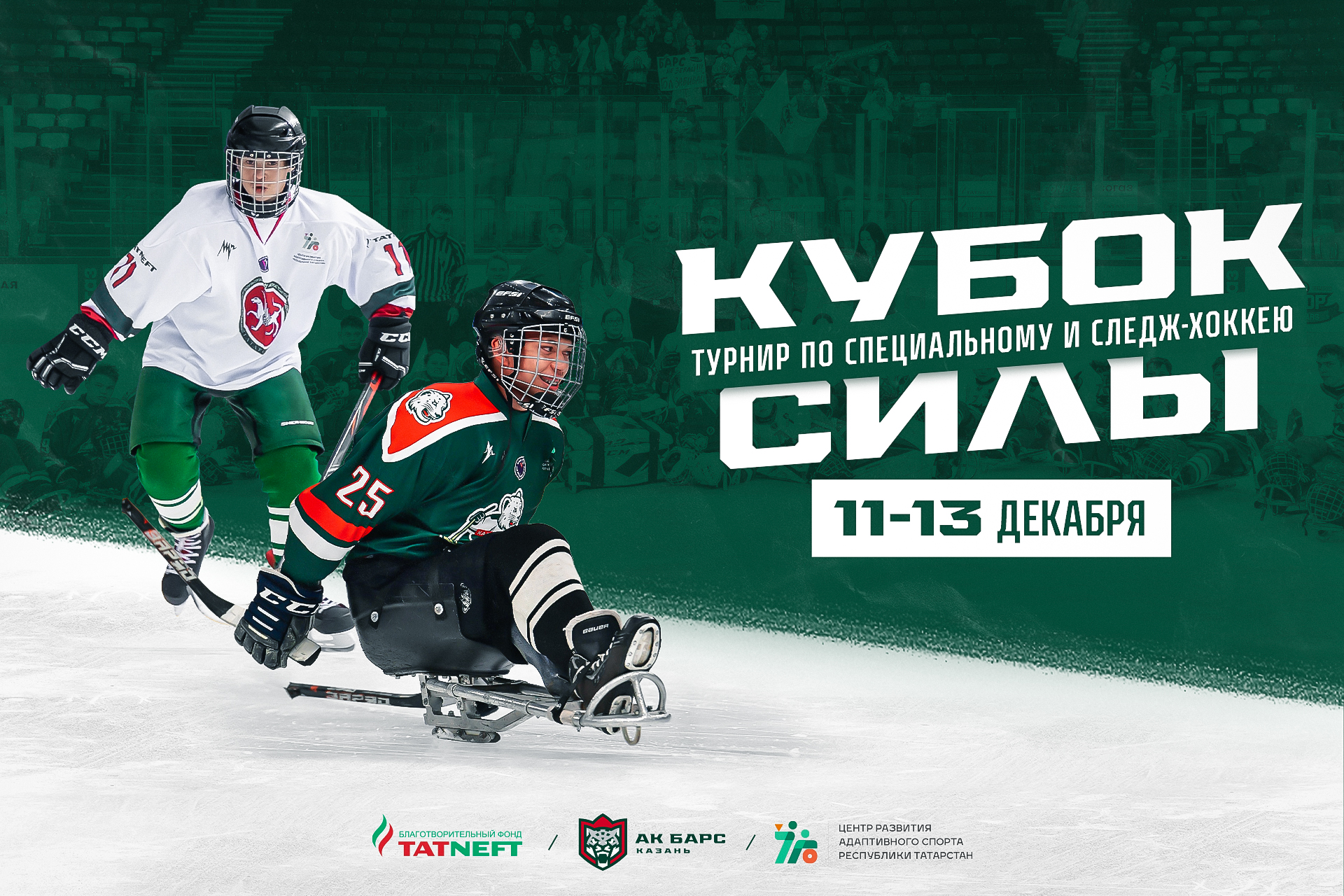 Казань примет II турнир по адаптивному хоккею «Кубок Силы» — 3G Sports